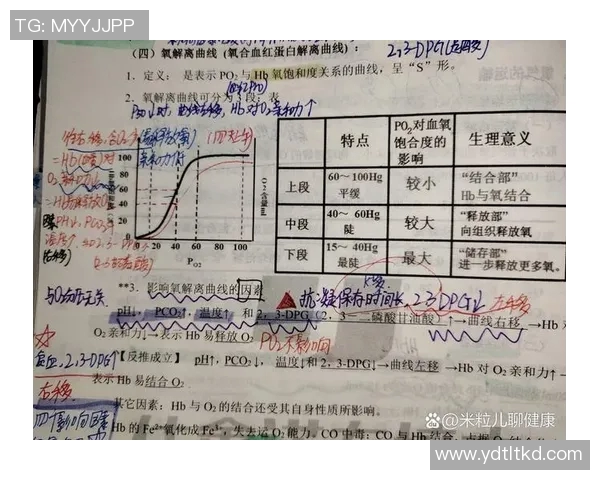 枕骨扁平姚明的独特生理特征与篮球运动的关系探讨