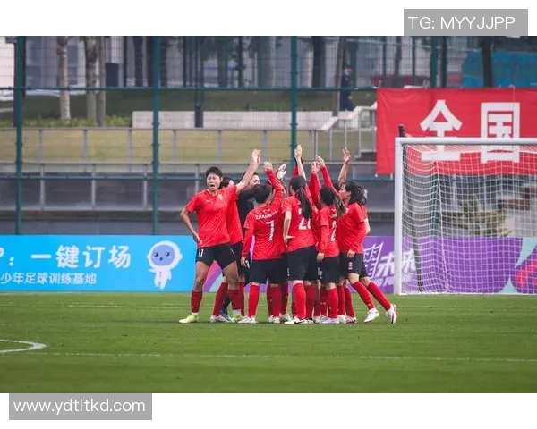 深圳足球队技术争议引发热议球迷与专家各抒己见探讨未来发展方向