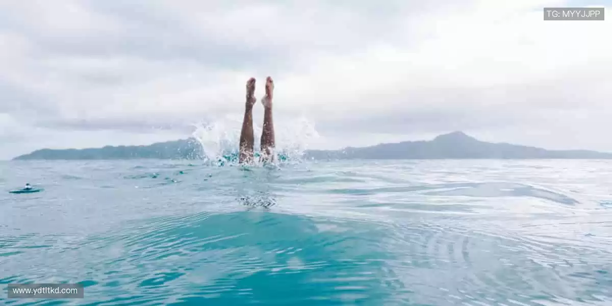 🏀 实时比分，尽在掌握！赛程动态更新，不错过任何逆转📊